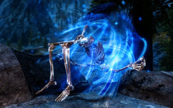 SkyrimSE 2019-01-23 21-48-27-88