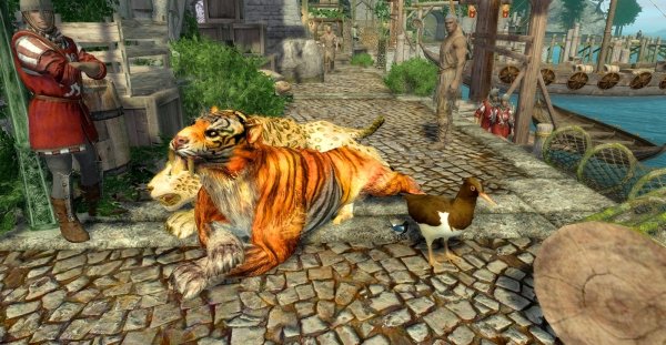 Котята Шэйлы в порту.