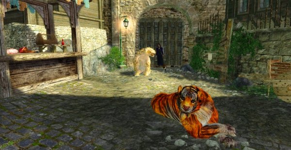 Котята Шэйлы в Арке..