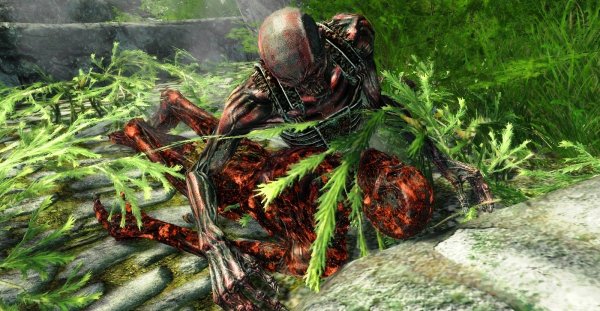 "Любовь-морковь" ))