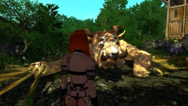 enb 2019_02_25 14_09_20_56.jpg