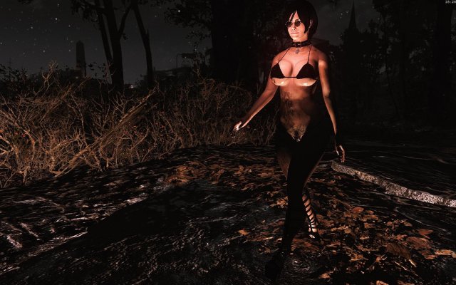 Fallout4 2019-02-21 18-28-51-17.jpg