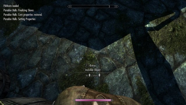 TESV 2019-02-15 14-03-27-991.jpg