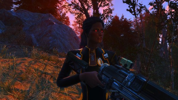 Гуляем по Содружеству с пушкой ;)