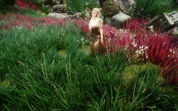 TESV 2019-02-25 13-39-12-46