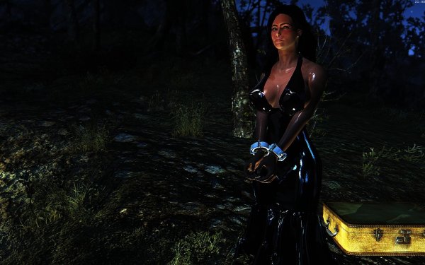 Fallout4 2019-02-12 21-48-49-00