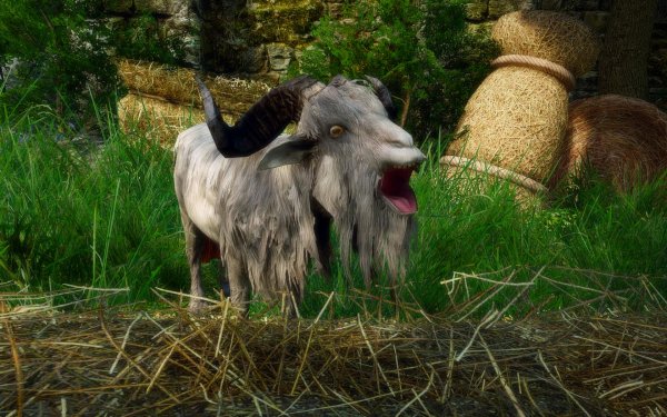 TESV 2019-02-27 21-29-07-73