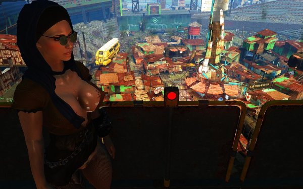 Fallout4 2019-02-08 06-44-57-70