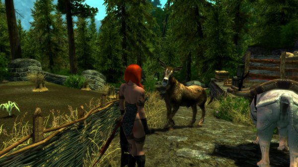 enb 2019_02_26 19_55_12_00.jpg