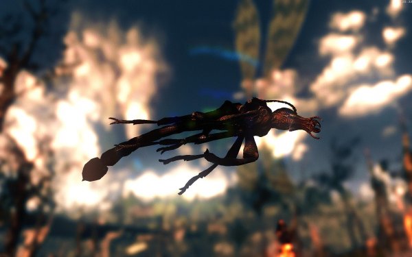 Fallout4 2019-02-14 20-33-04-66