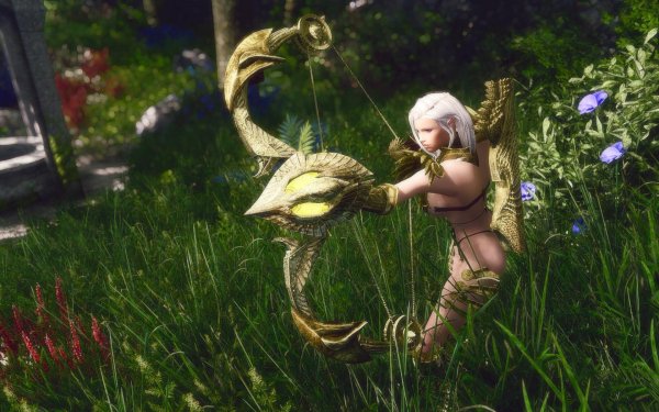 TESV 2019-02-26 11-13-19-95