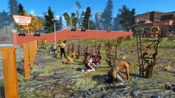 Поселенцы трудяться не покладая рук,