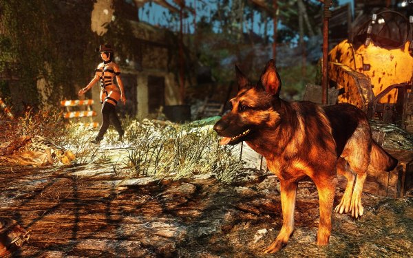 Fallout4 2019-02-20 12-16-20-84