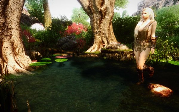 TESV 2019-02-25 12-33-05-12