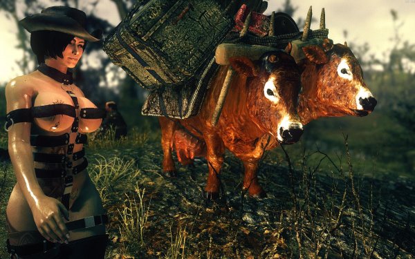 Fallout4 2019-02-20 10-53-04-66