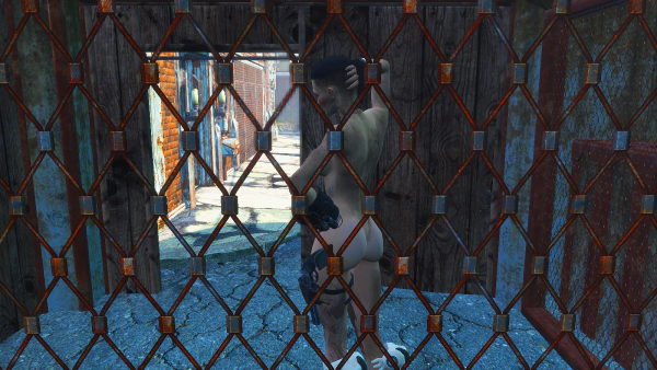 Смотреть можно, трогать нет