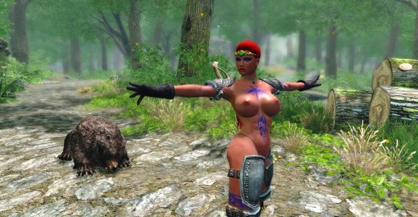 Где-то в Эндеральских лесах..