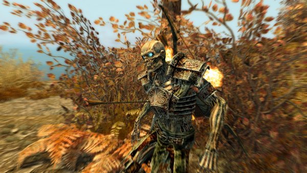 И почему Шэйла не метилась мне в сердце?