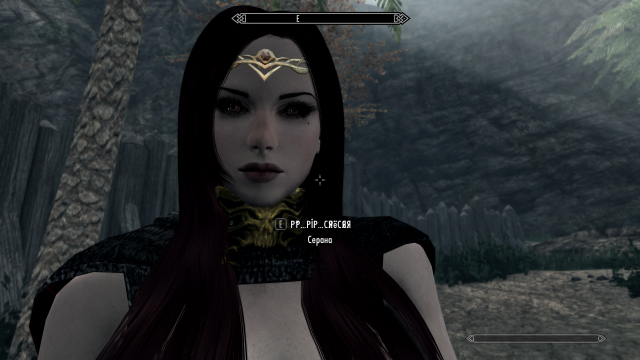 1070156927_SkyrimSE2019-03-0721-38-35.thumb.png.caa2caf39b7de27355d19fb66ebe9d2a.png