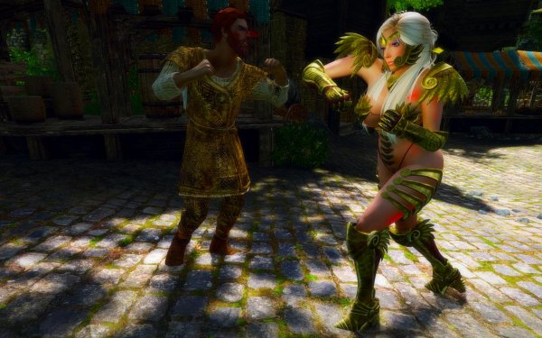 TESV 2019-02-28 21-38-54-88