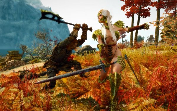 TESV 2019-02-28 13-15-18-08