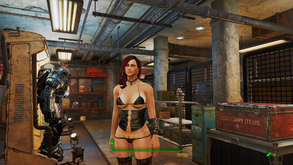 Fallout4 2019-03-03 11-49-37.png