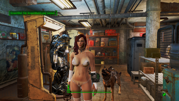 Fallout4 2019-03-03 11-55-46.png