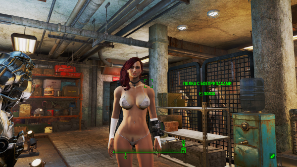 Fallout4 2019-03-03 11-53-47.png