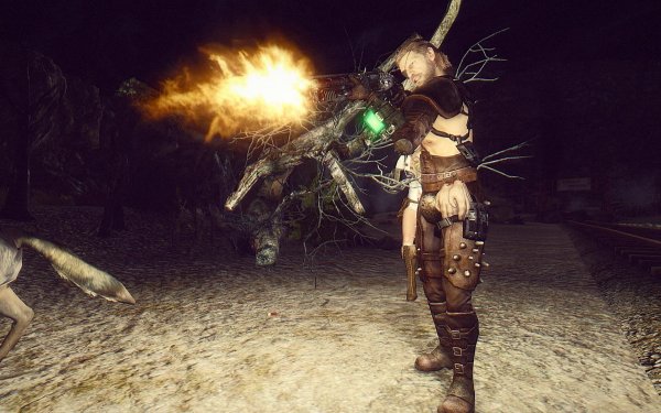 FalloutNV 2019-03-05 12-28-38-69