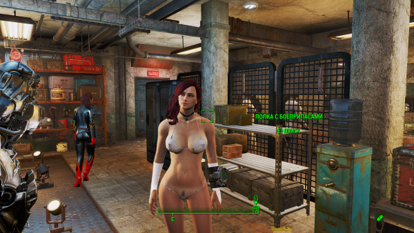 Fallout4 2019-03-03 11-53-42.png