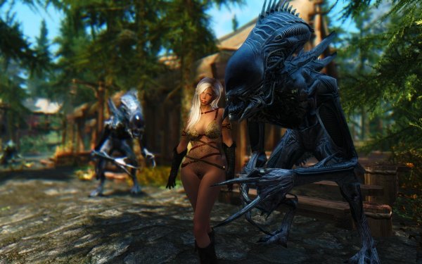 TESV 2019-03-27 21-58-48-53