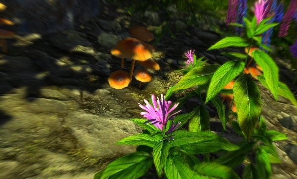 Грибочки и цветочки в Эндерал.