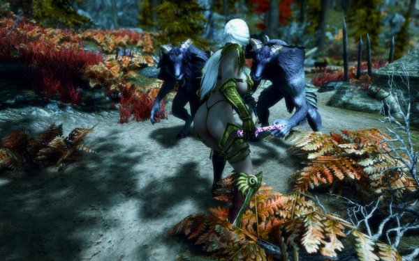 TESV 2019-02-28 14-07-55-28