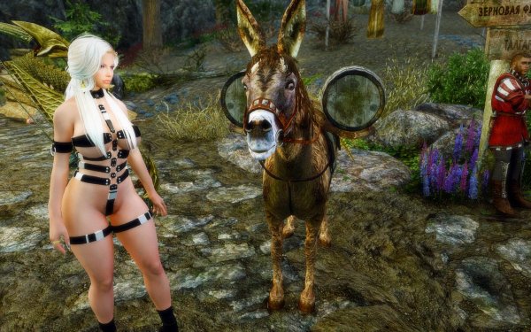 TESV 2019-02-28 12-12-50-30