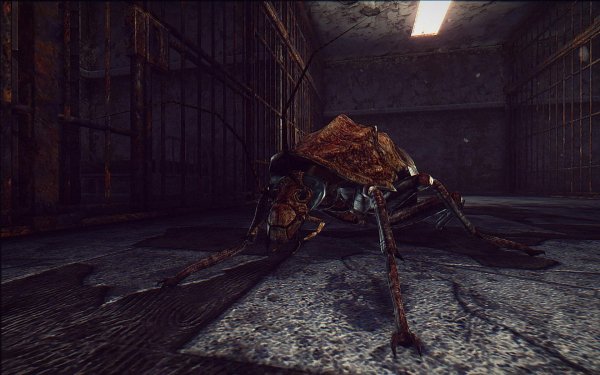 Таракан, таракан, тараканище...