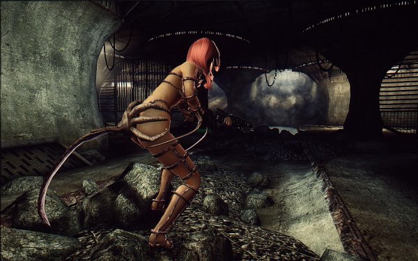 Fallout3 2019-04-12 19-11-19-24