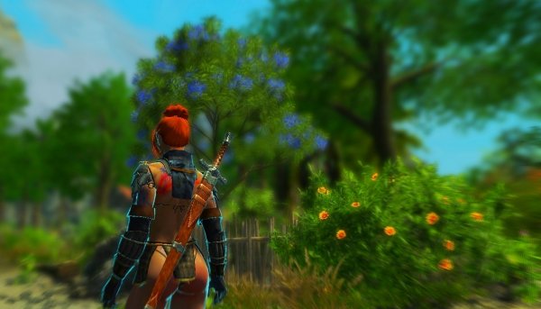 Где-то на тропах Эндерал..