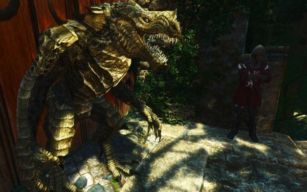 TESV 2018-01-23 20-10-56-82