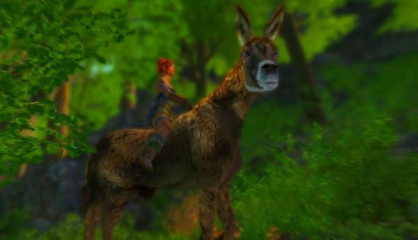 Шэйла на ушастом скакуне. Enderal