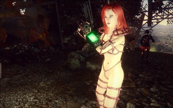 Fallout3 2019-04-09 11-43-02-03