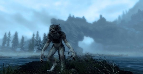 Из очень давних скринов! )) Скайрим