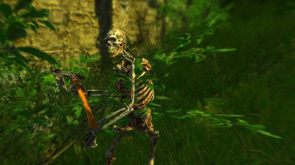 Костяной. Enderal