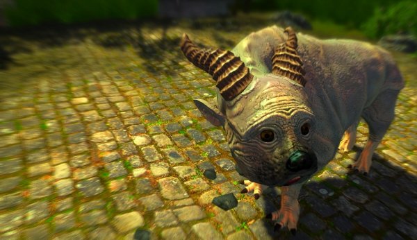 Невозможный пусик ))) Enderal