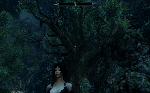 ScreenShot531