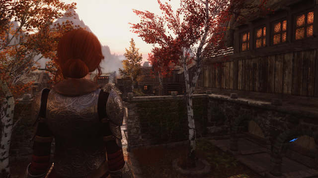 Tes V - Skyrim Screenshot 2019.05.10 - 02.36.20.19.png