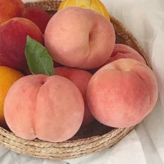 Тайная комната