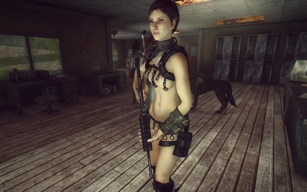 FalloutNV 2019-05-02 12-36-24-96