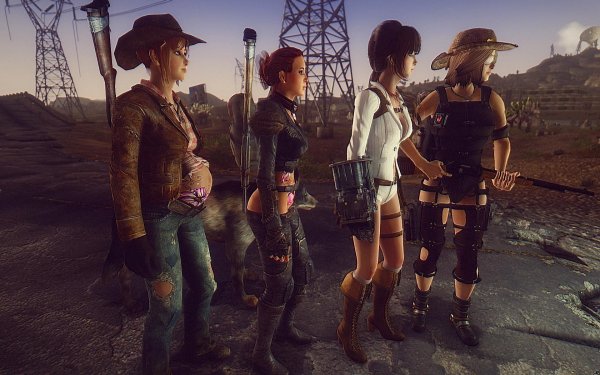 FalloutNV Подруги