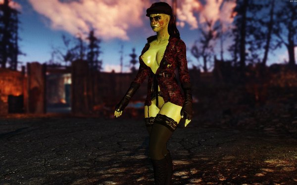 Fallout4 2019-05-30 20-43-06-81