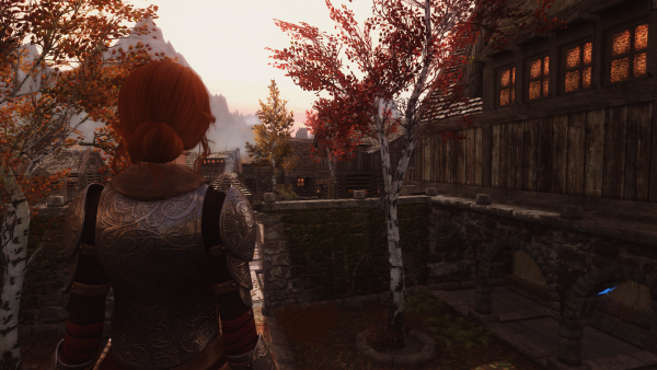 Tes V - Skyrim Screenshot 2019.05.10 - 02.36.20.19.png